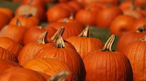 pumpkin3.jpeg