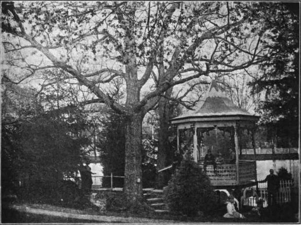 Grant Oak Ironton (1).jpg