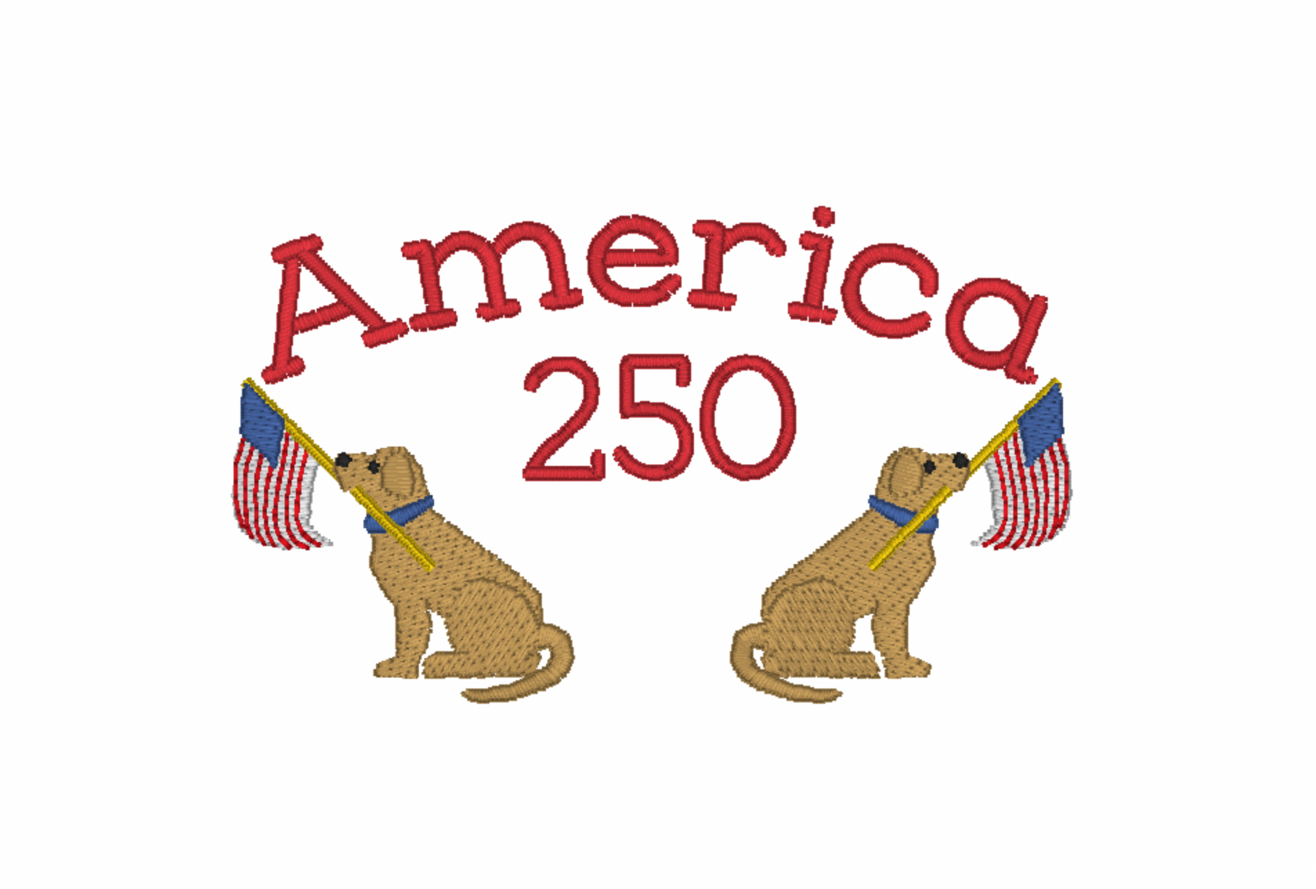 AMERICA 250 10