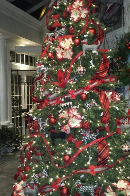tree.jpg