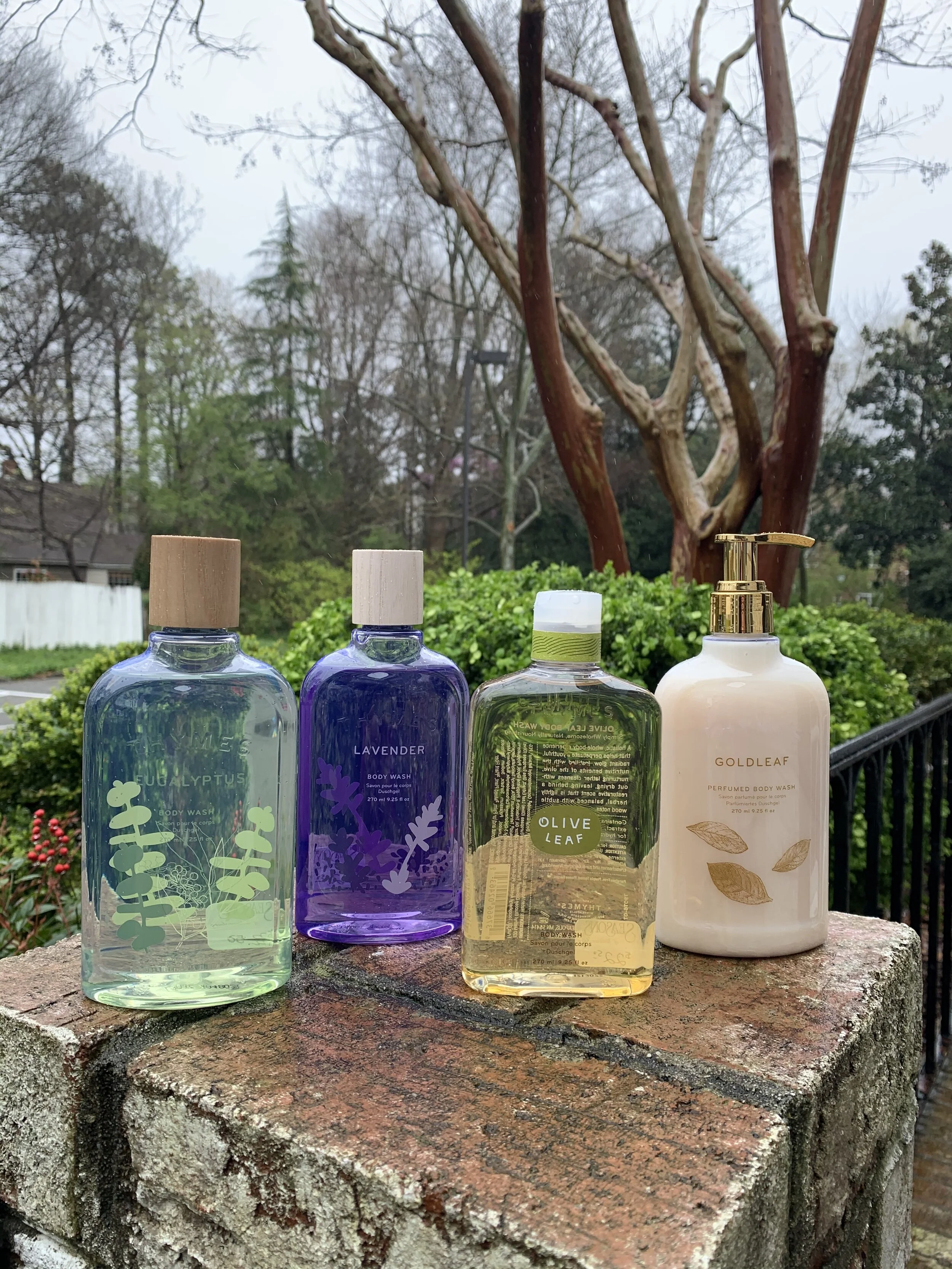 005E4D1F-53B1-4FA1-8EA4-930F27600A6A