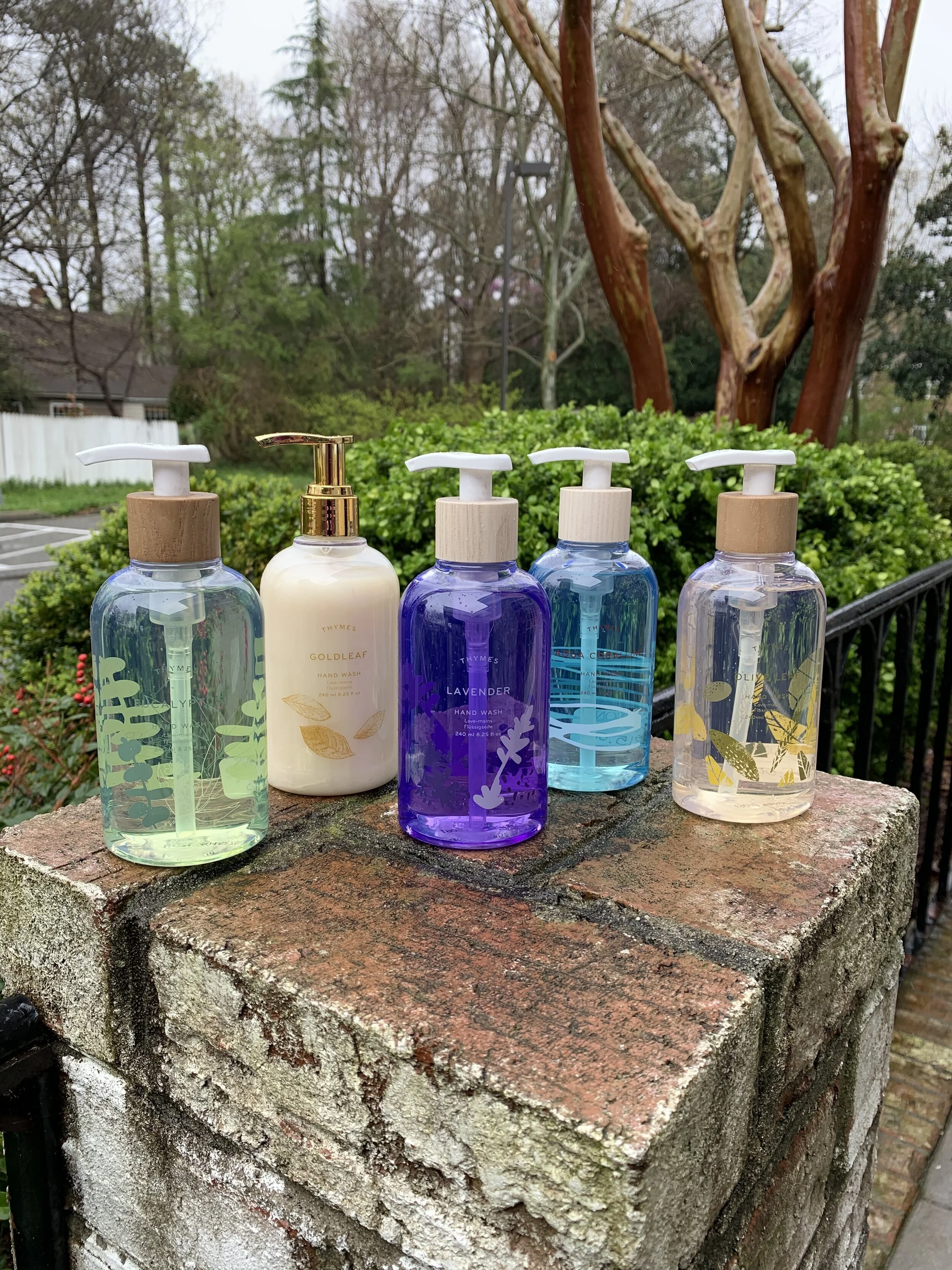 25AF211C-C4F5-412E-8009-0E5E875162D8