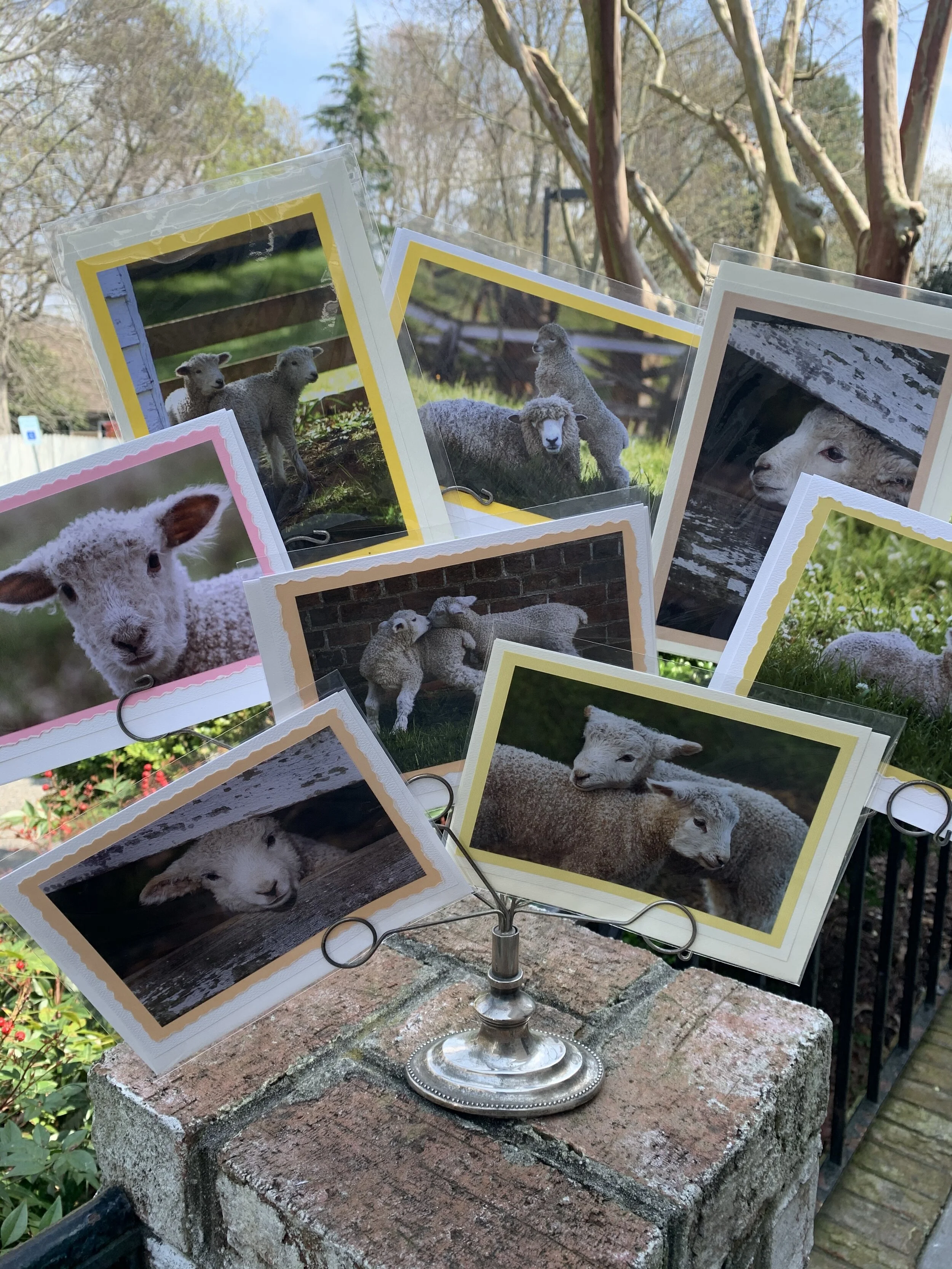 A2CE159F-A2DA-4D09-B134-530C9A844230