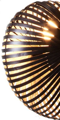 nautilus-1.jpg