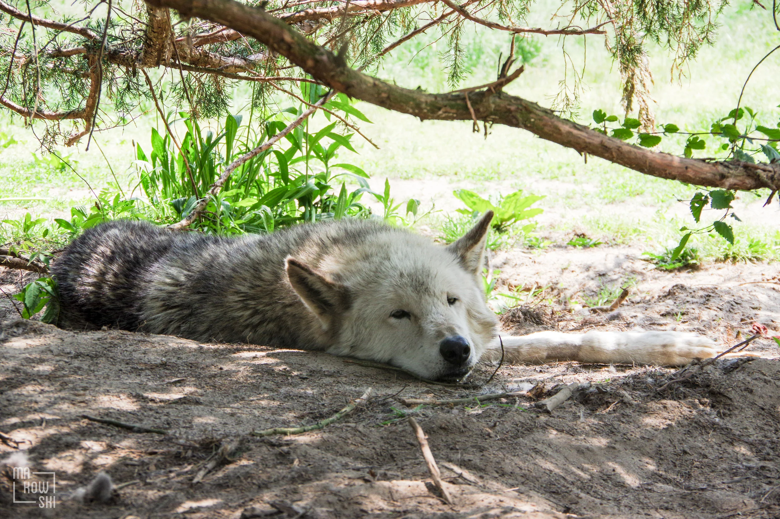 20160525-K3II1040.jpg