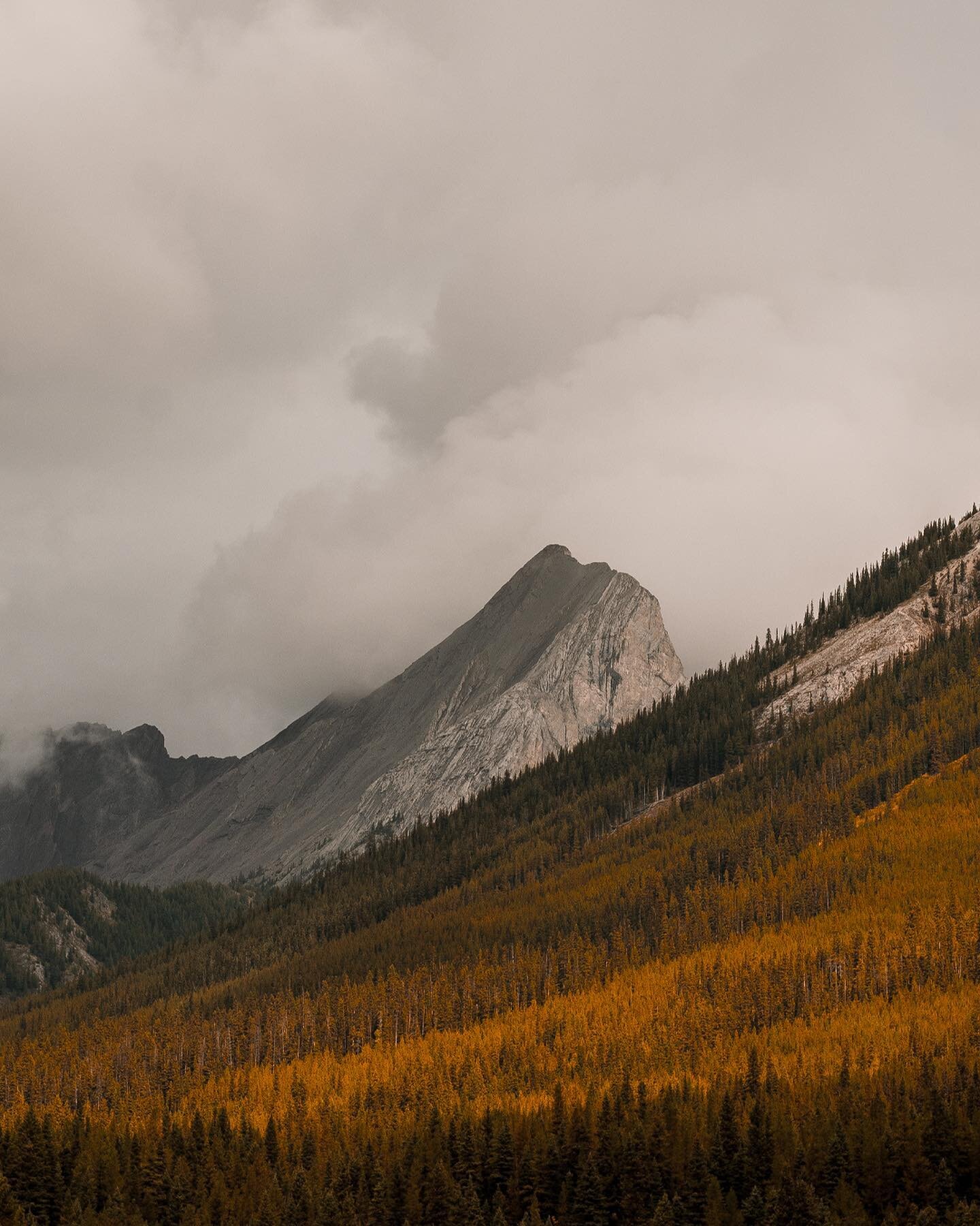 ; under clouds that would have sighed
_
This one was one for the books. It felt like a dream through and through. Six days in the mountains &mdash; I&rsquo;d reached new heights, summits, and my legs were taken out by the end of it all.

I remember w