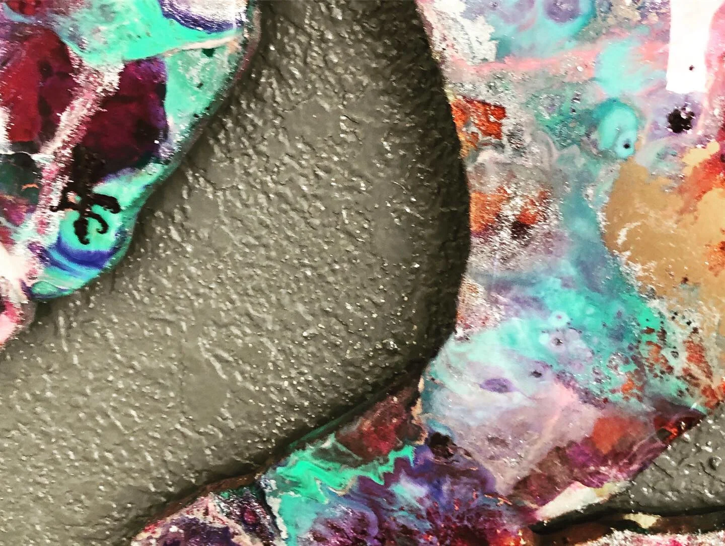 Octopus 6.JPG