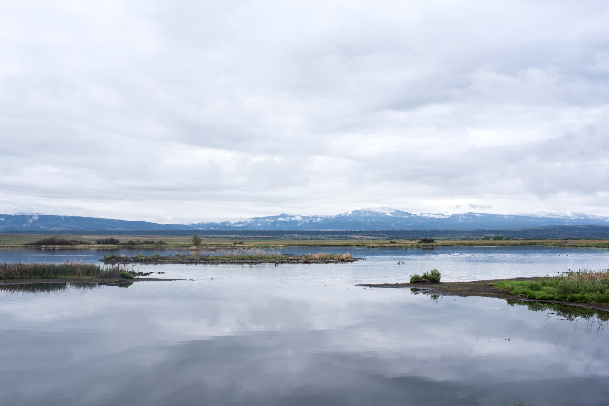 Tule Lake