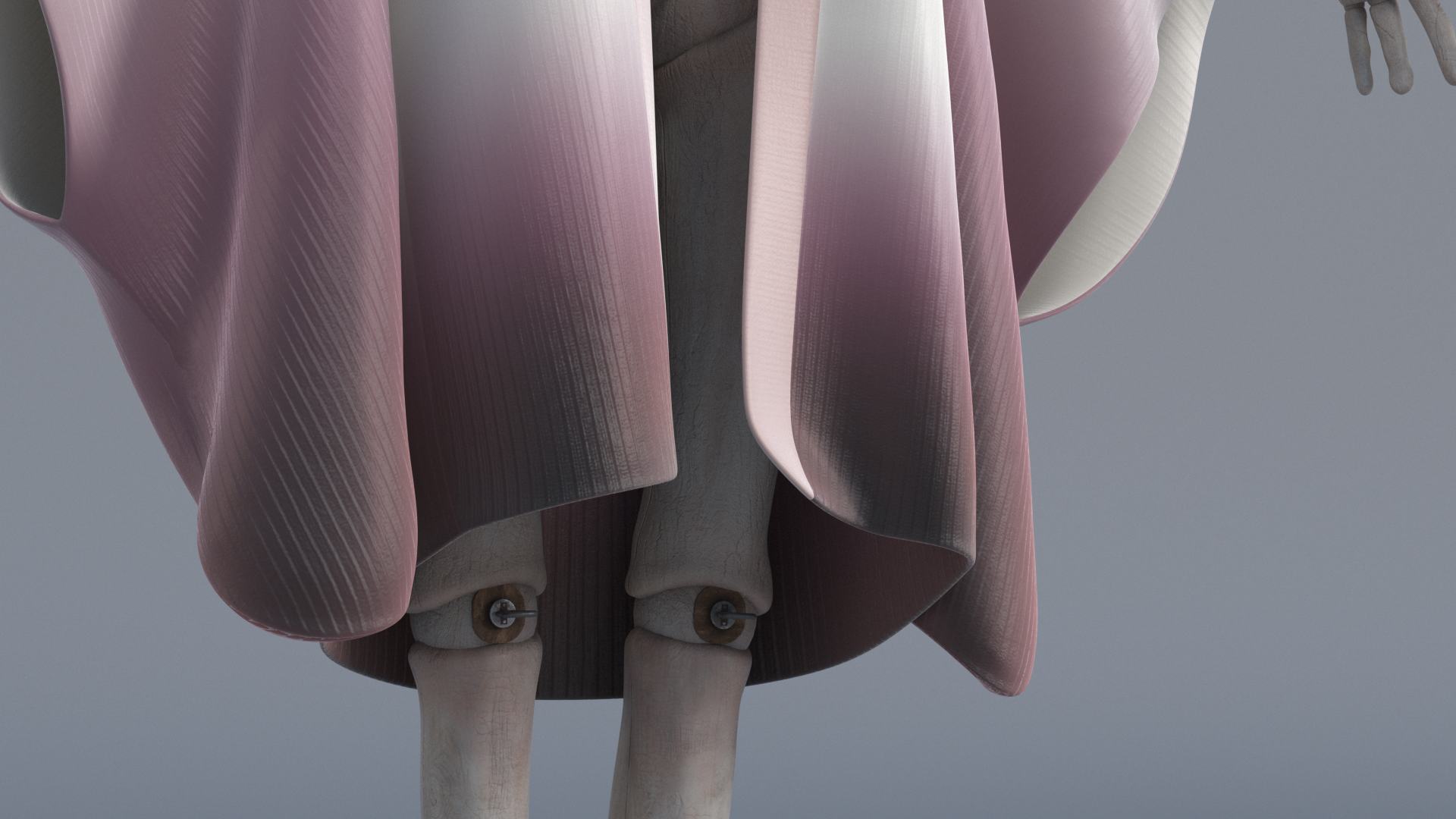 puppetCloseD.png