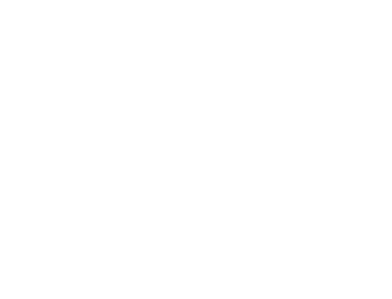DRL Coaching Logo