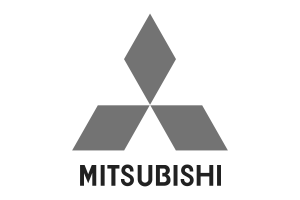 Mitsubishi Nuclear Energy Systems (MNES)