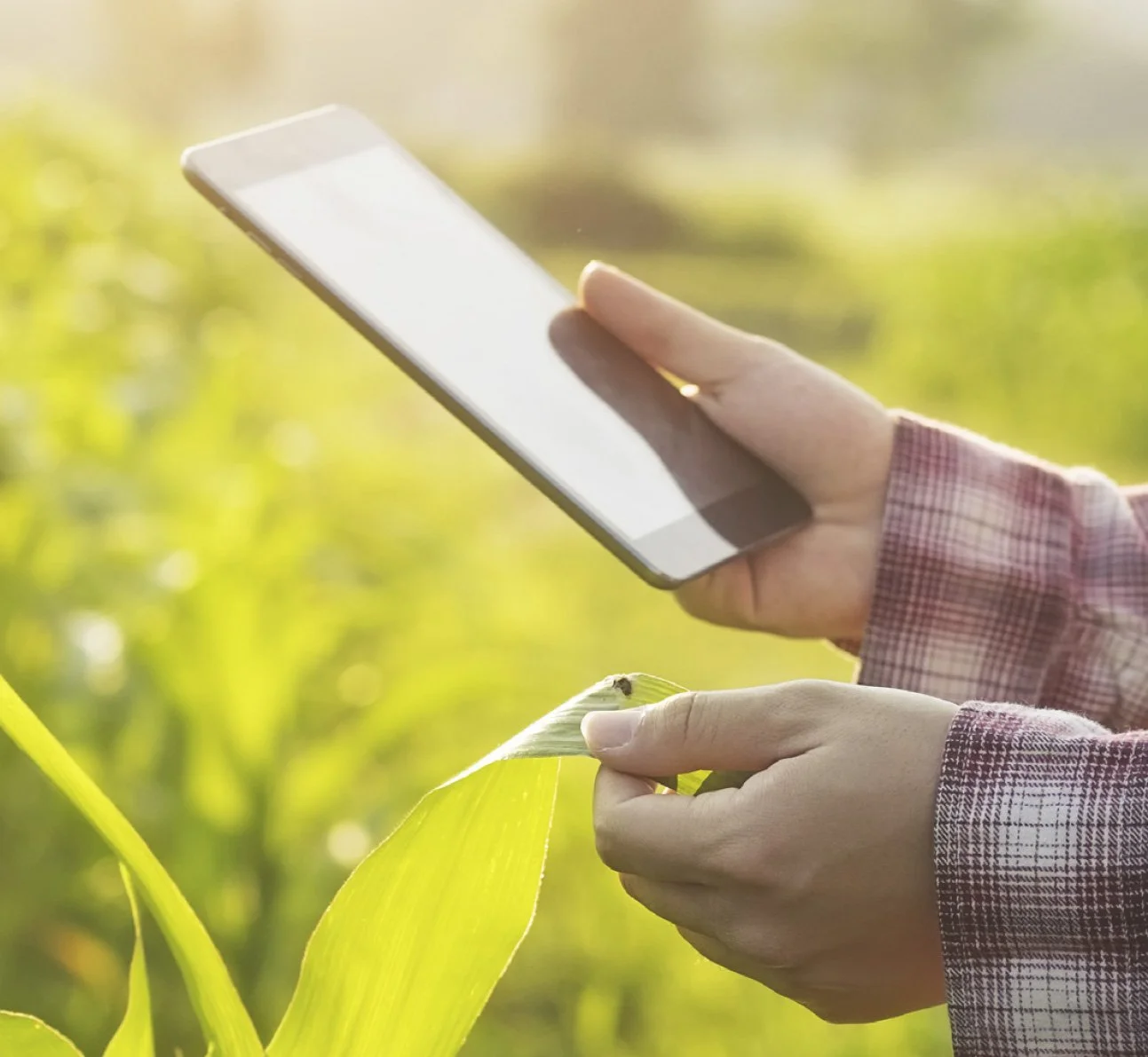 USDA National Agricultural Research, Extension, Education, and Economics (NAREEE) Advisory Board