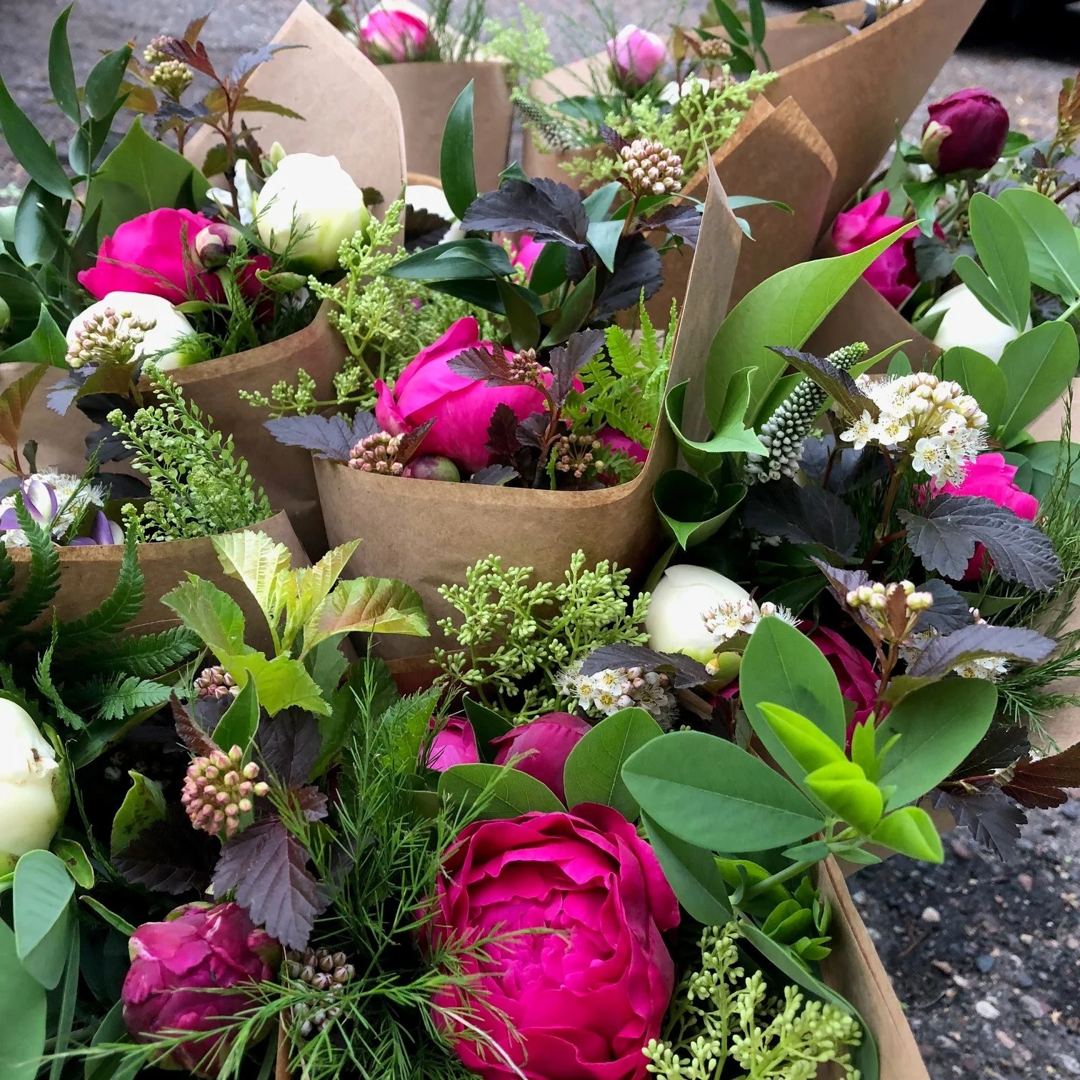 peony.jpg