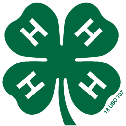 New York State 4 H Youth Development
