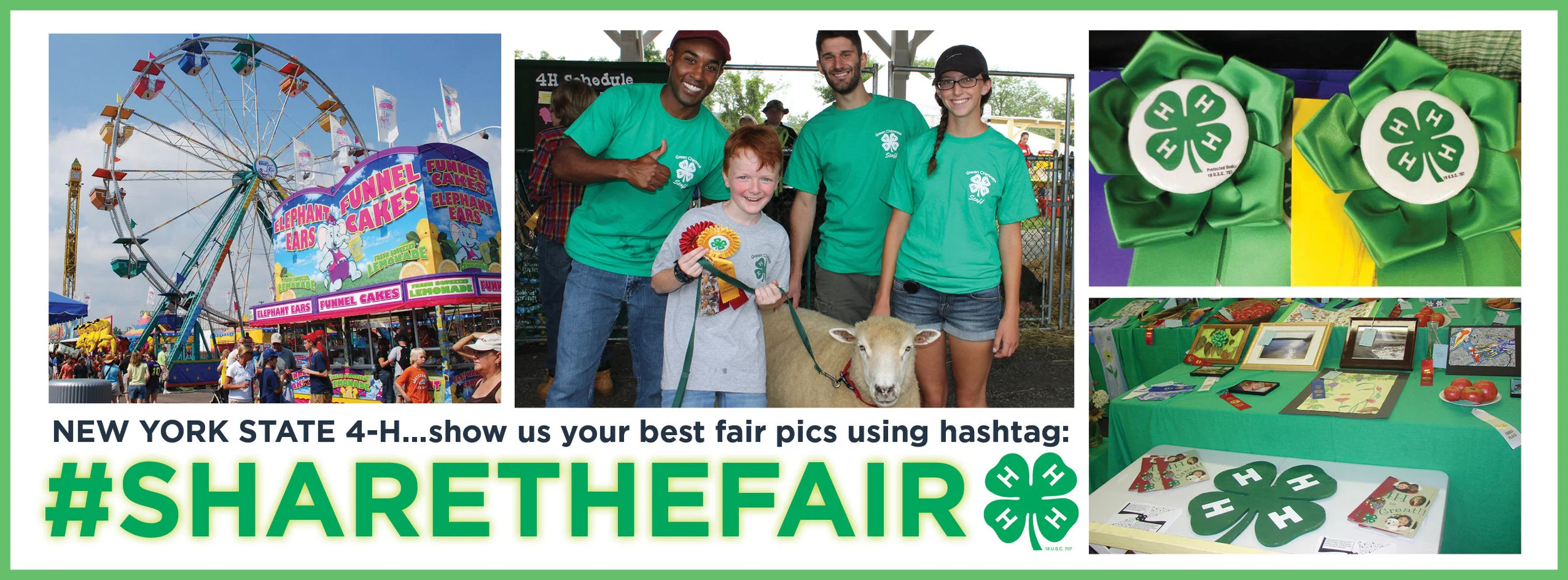 NYS 4H Fair Season.jpg