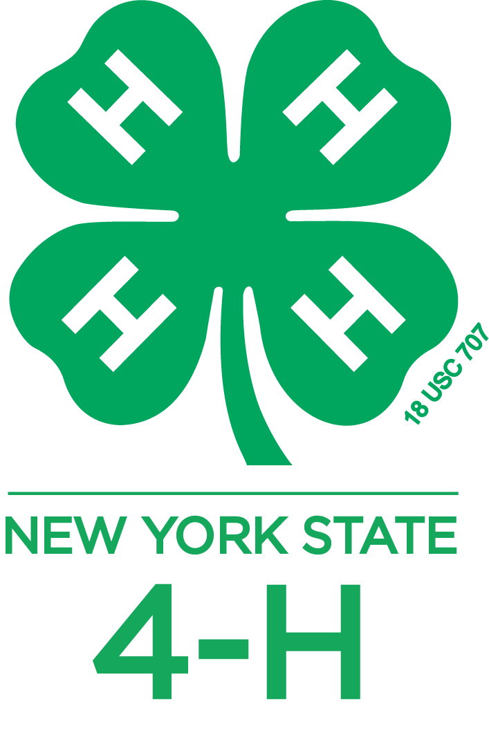 Logos Graphics New York State 4 H Youth Development