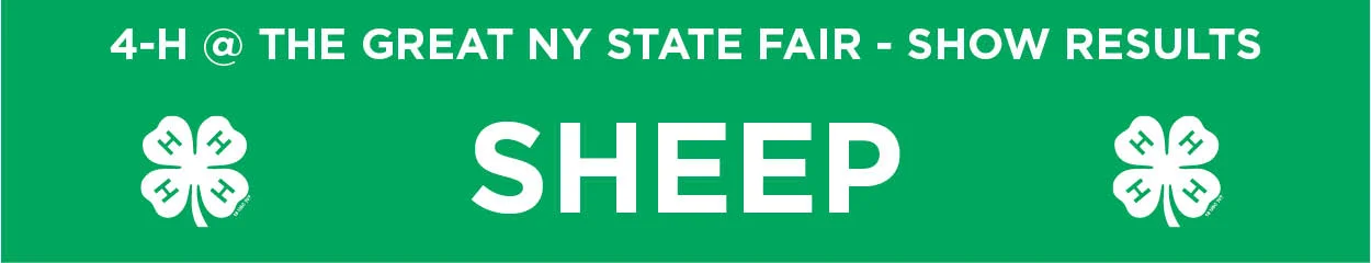 4-H Show Results Sheep.jpg