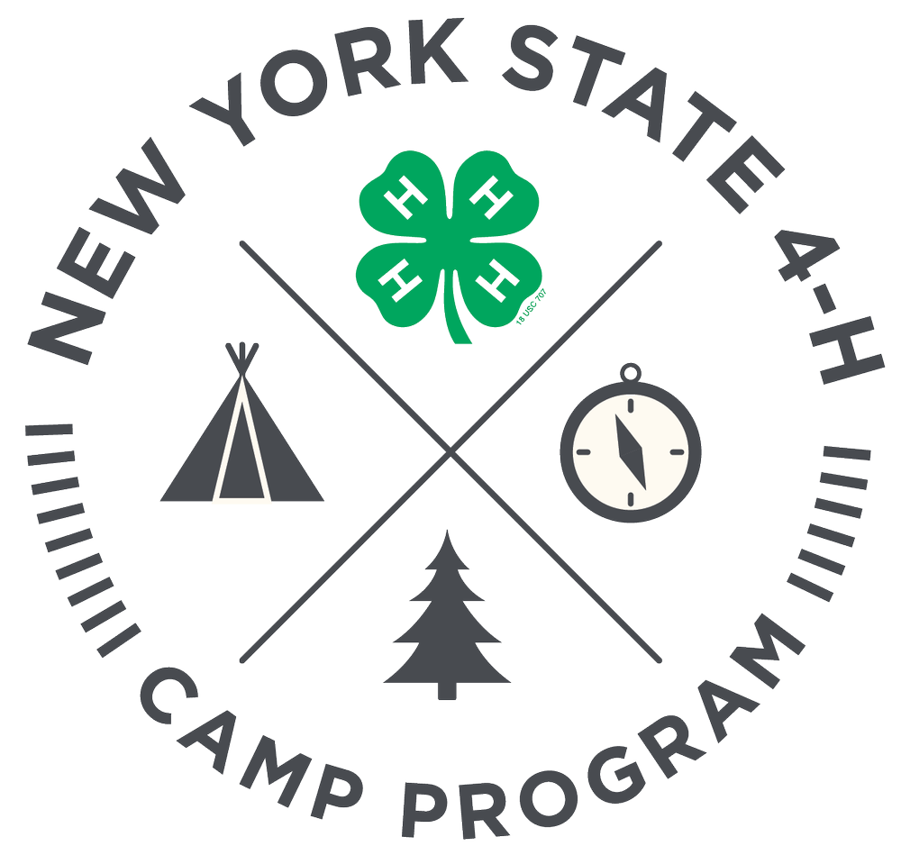 New York State 4 H Camps New York State 4 H Youth Development