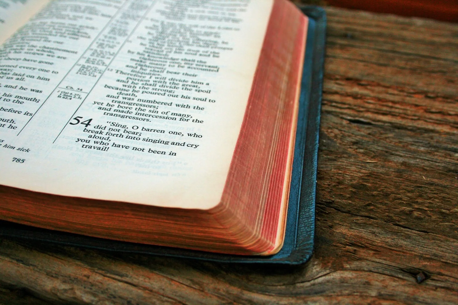 opened-bible copy.jpg