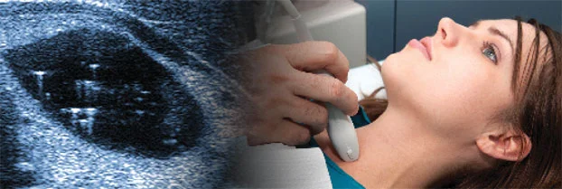 thyroid nodule ultrasound image.jpg
