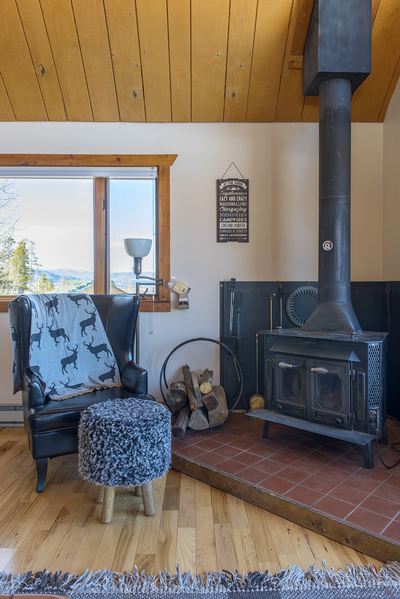 Cozy Wood Stove