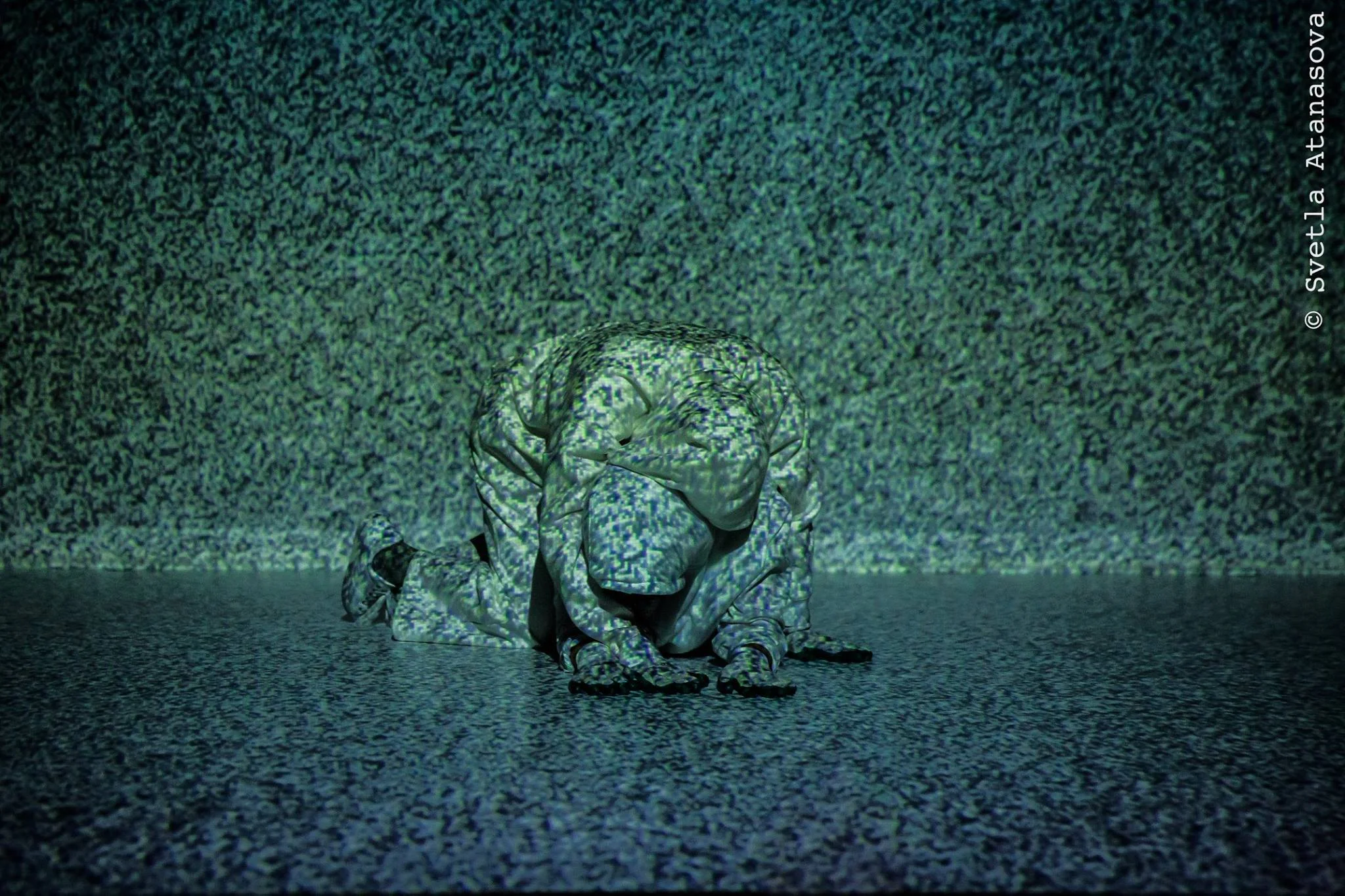 13603607_1324663444227812_7979695724010162151_o.jpg