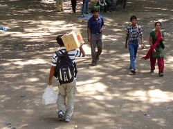 last souls &amp; lost sons