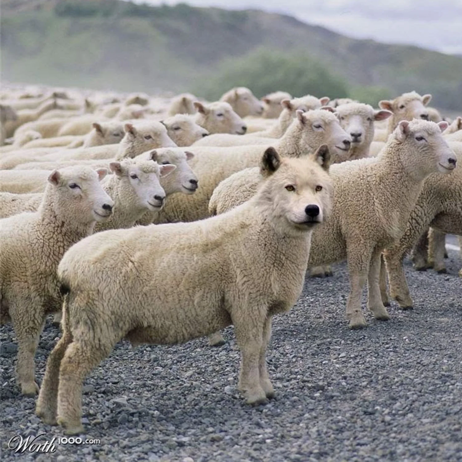true &amp; false prophets (revelation 13:11)