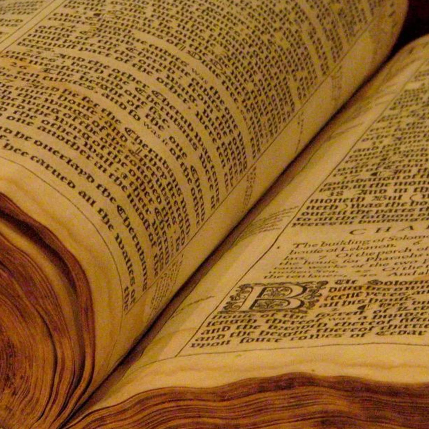 behold the Bible! episode artwork
