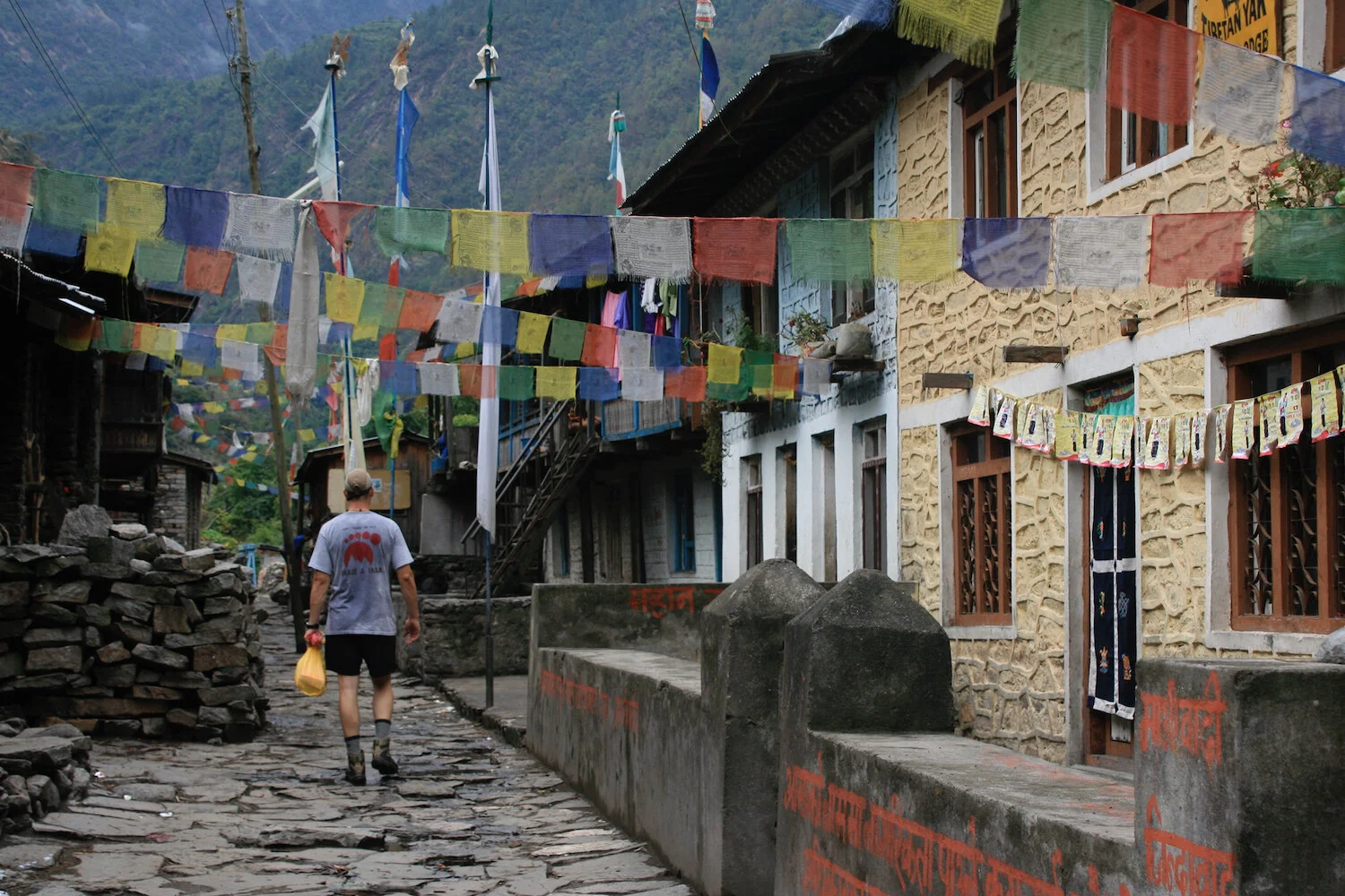 south asia 2006-2007