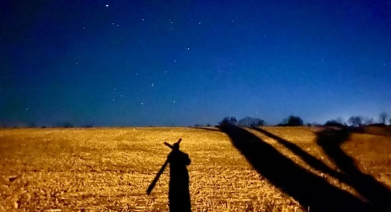 opportunity & importunity