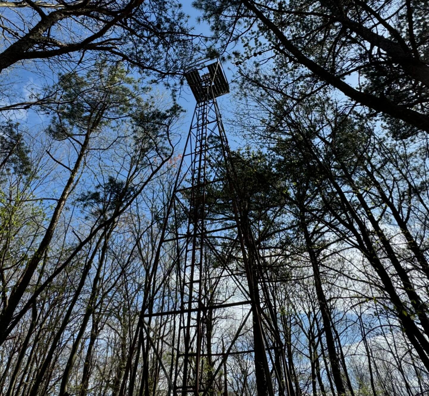 My gut told me I probably ought to be satisfied with standing on the highest ground of Berkeley County in West Virginia and not to mess with this rickety old tower swaying in the wind. I usually listen to my gut. The wood planks up there are definite