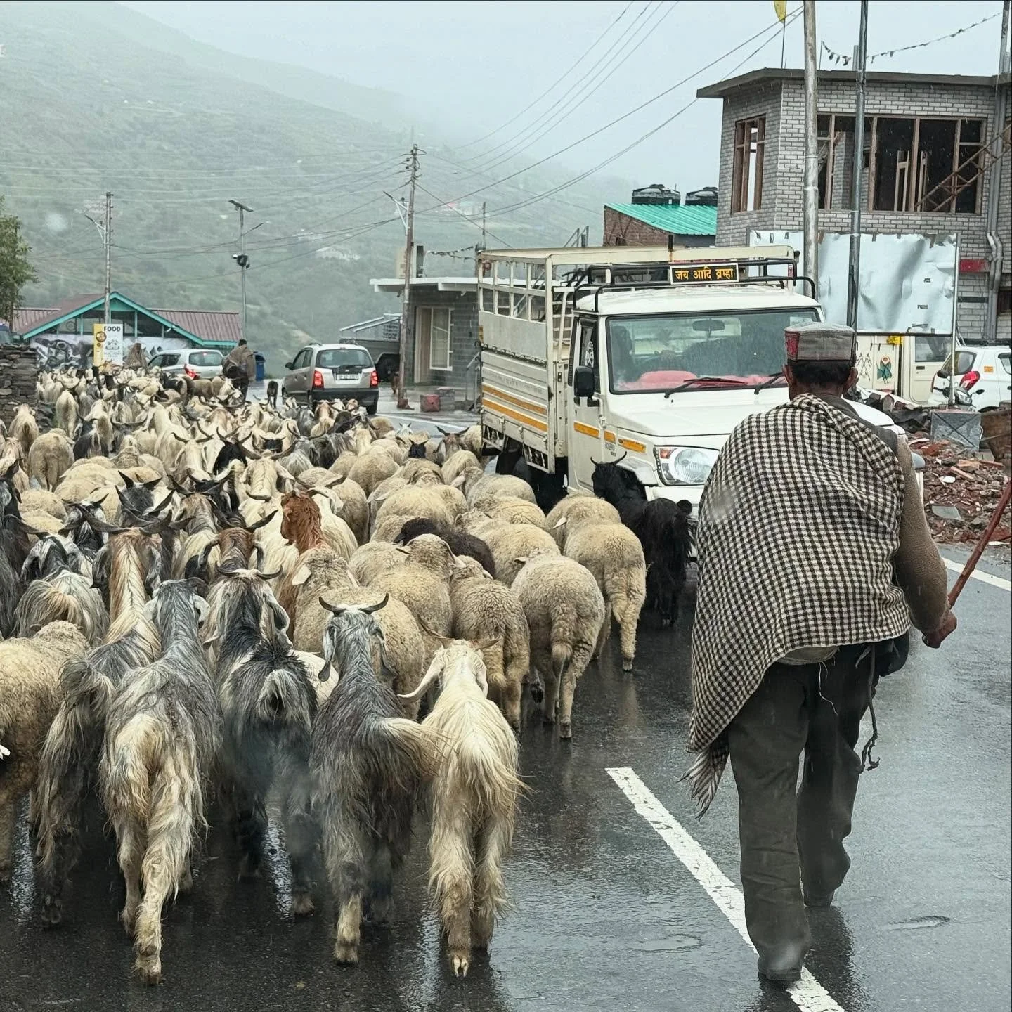 Traffic jam … will we ever make it to Manali?