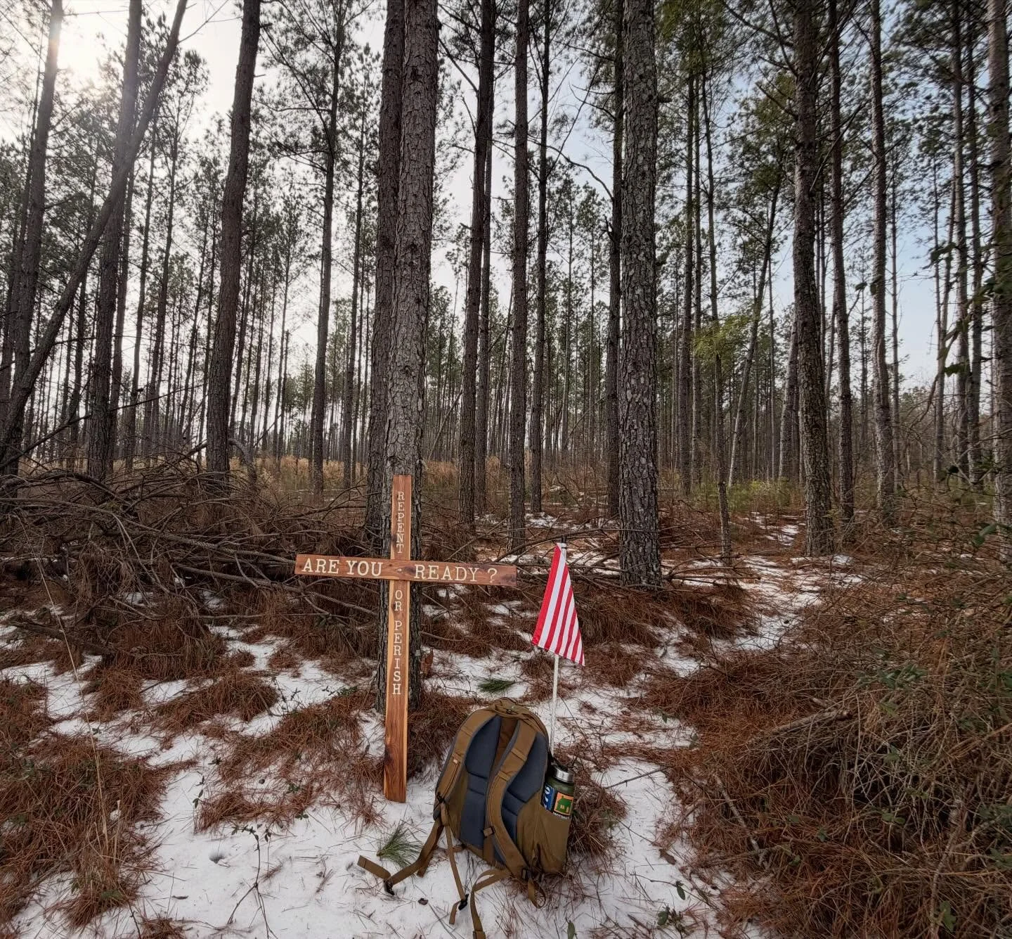 I&rsquo;ve always loved these pines along Old NC Highway 18 at the foot of the South Mountains. It&rsquo;s a cold one today. #thelongwalkusa