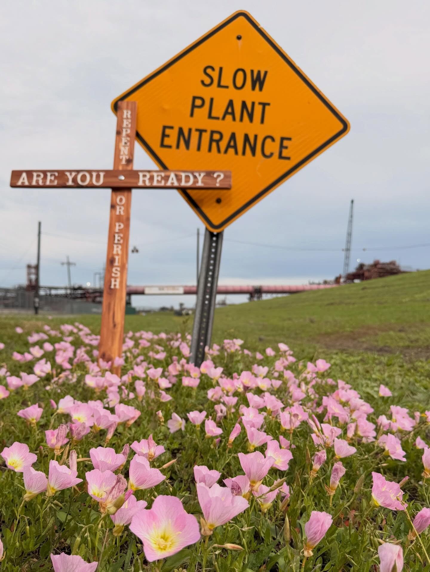 Beauty can be found  in the most unexpected of places. Were on the east bank now. #thelongwalkusa_bigriver