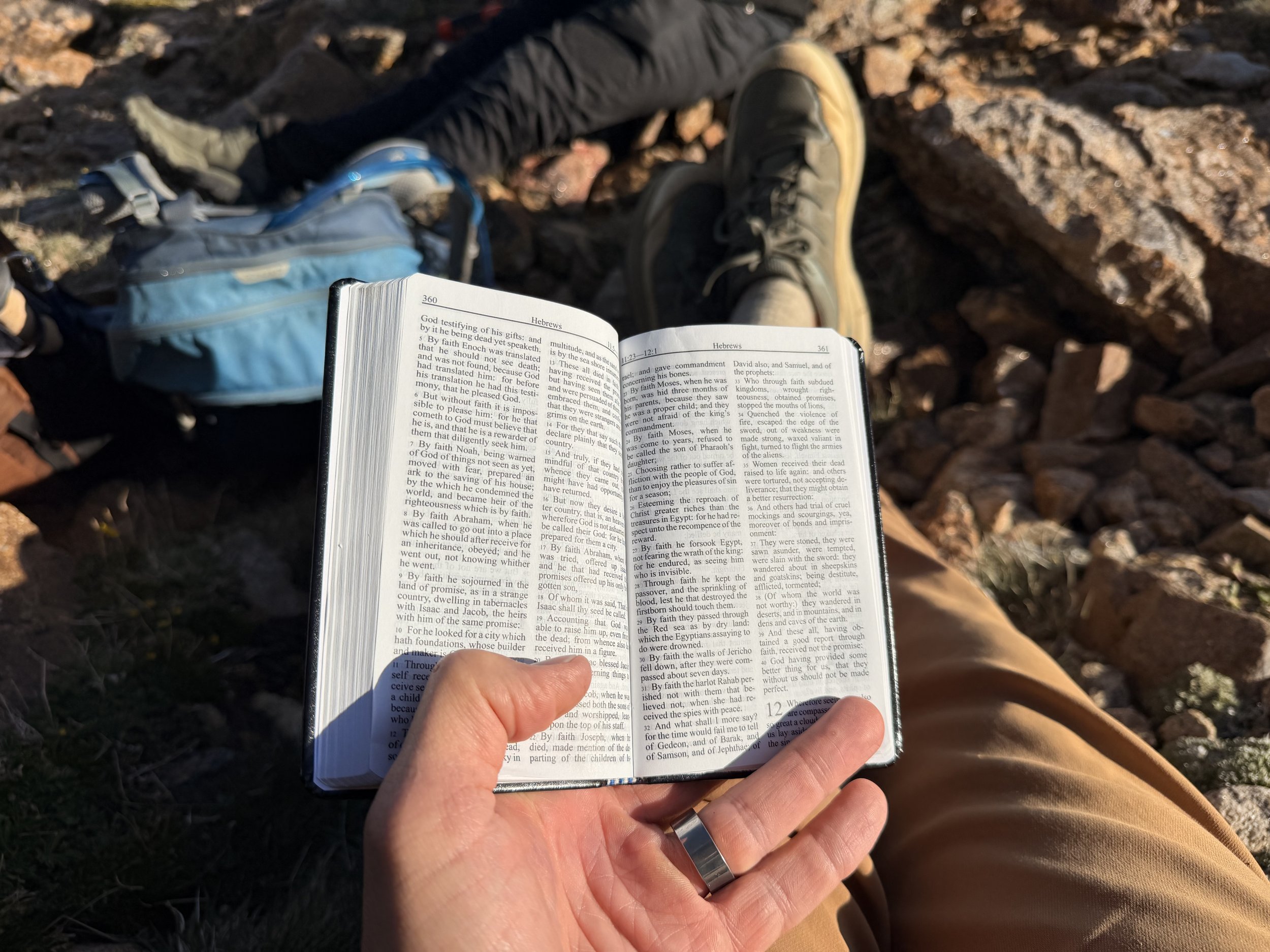 psalm 1-3 — seek the Lord