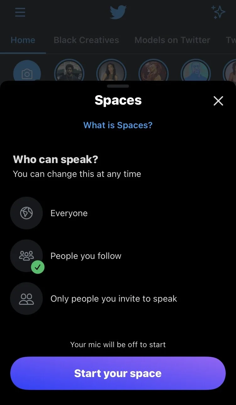 Twitter Spaces Beta Test Screen 4