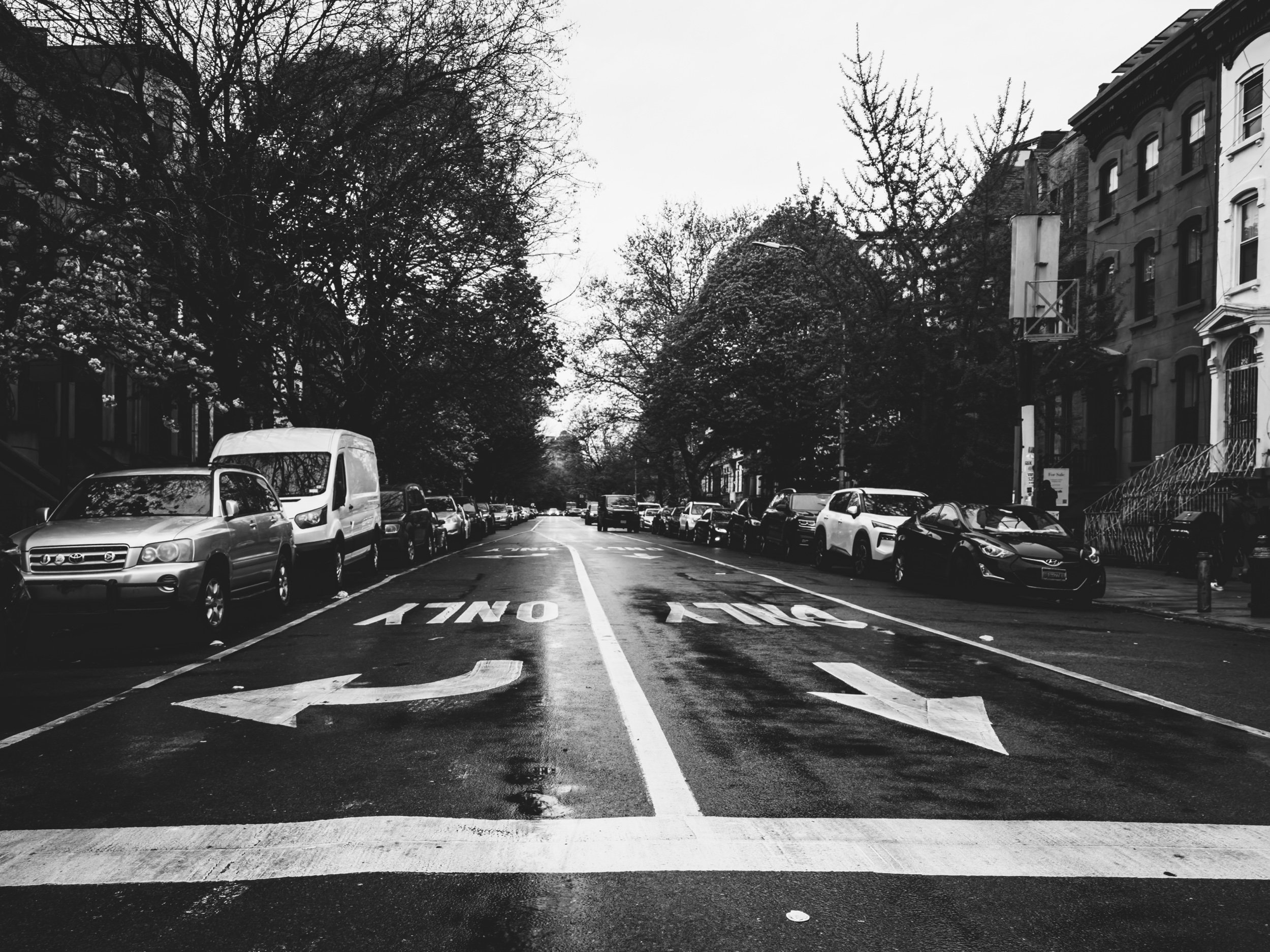 IMG_2580.jpeg (Copy)