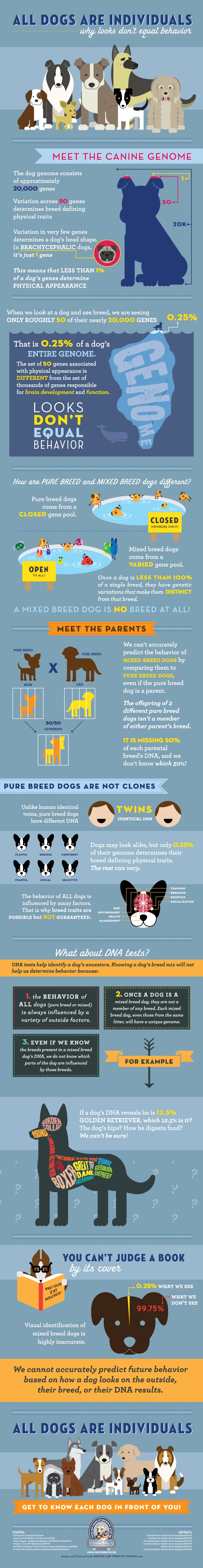 AFF_infographic_FINAL_whole.jpg