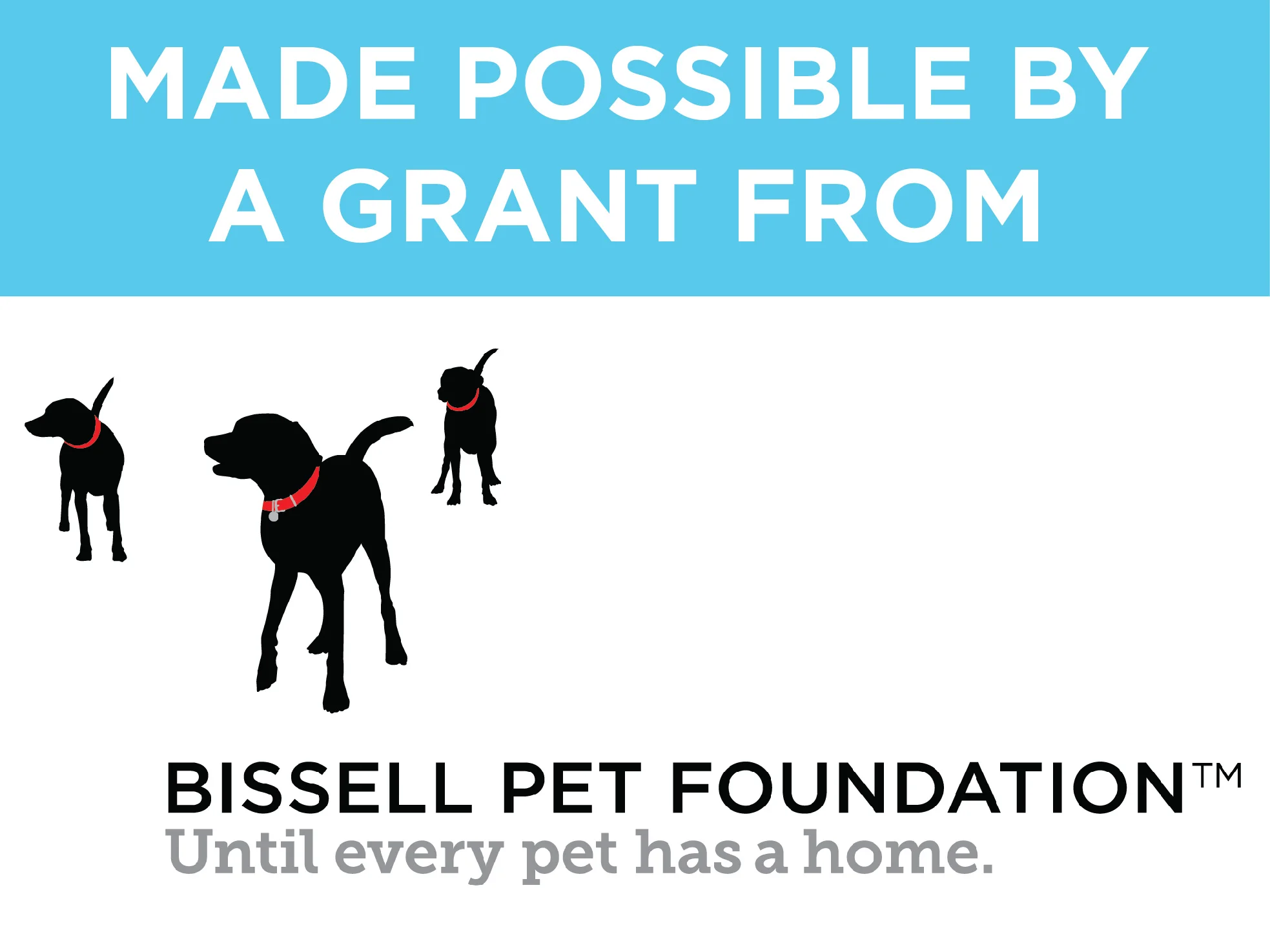 Thanks_BISSELL_P4P01.jpg