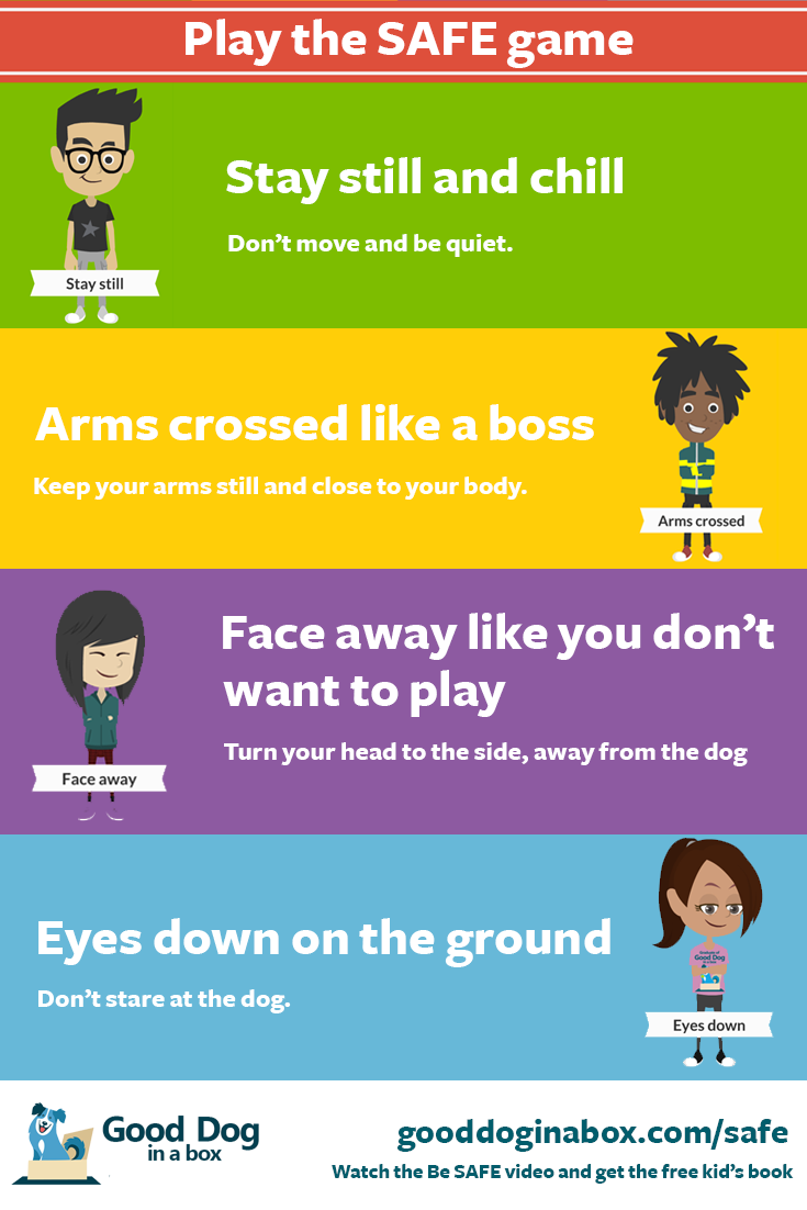 safe-dog-bite-prevention-game-infographic.png