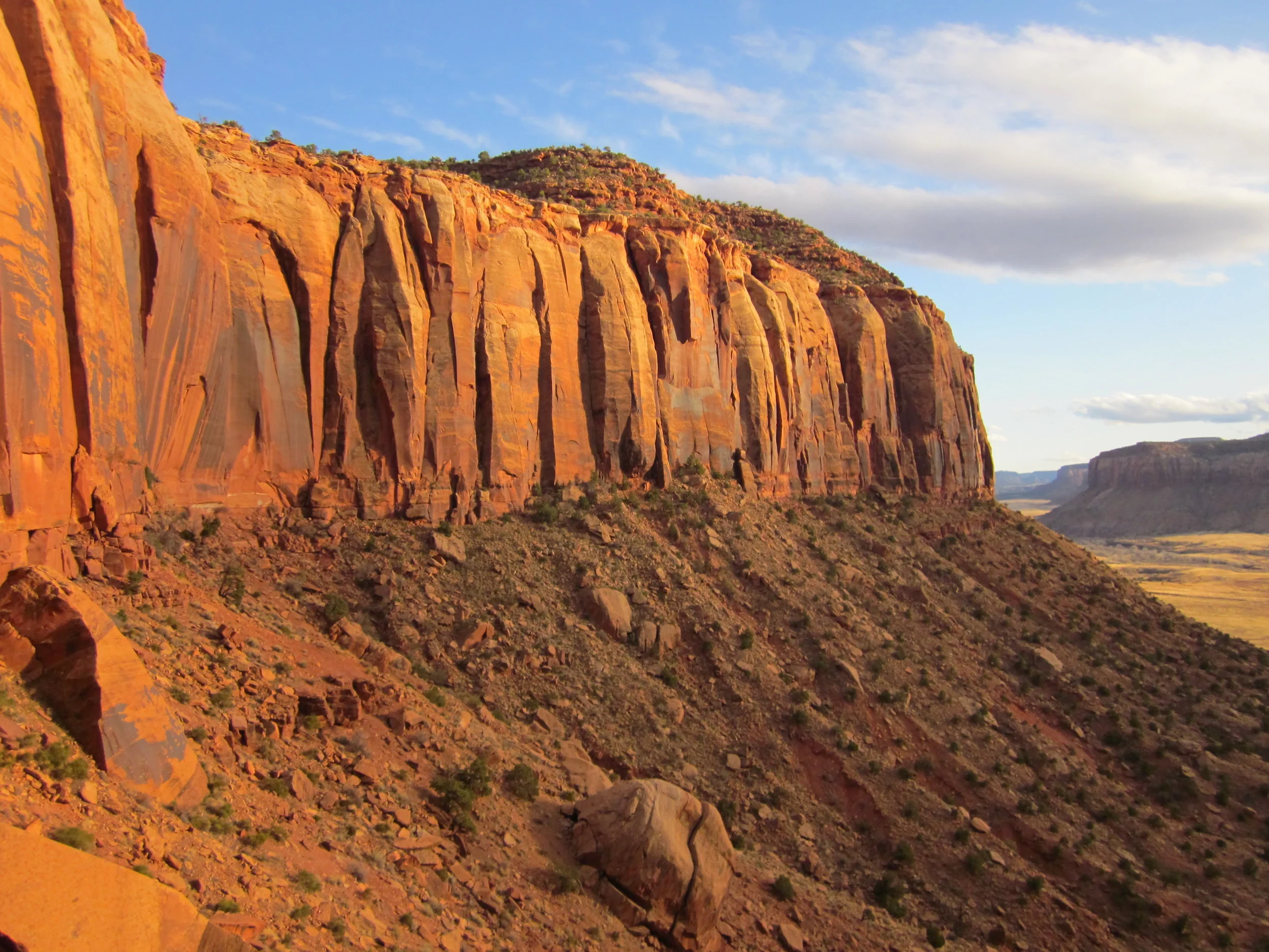 Doodoos and Don’ts: Pooping in the Desert