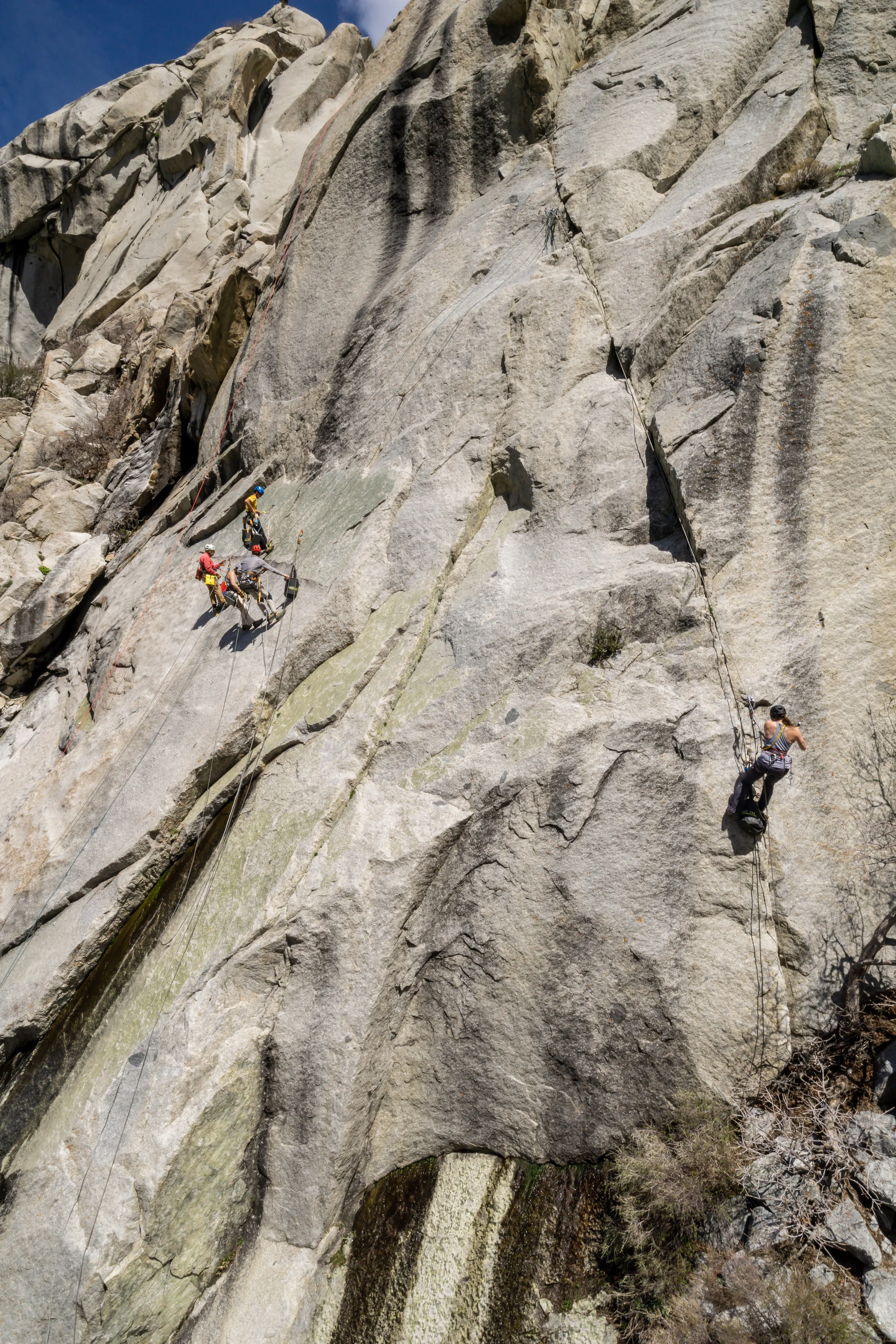 PeteWilk_2019-04-25_38110.jpg