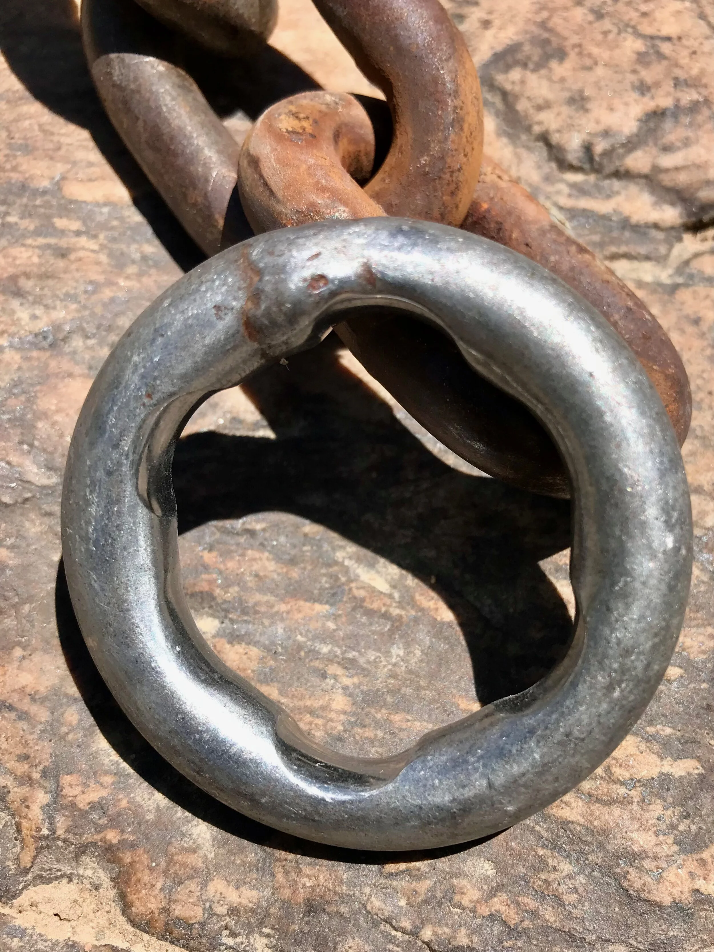 Worn rings at Dogwood.jpeg
