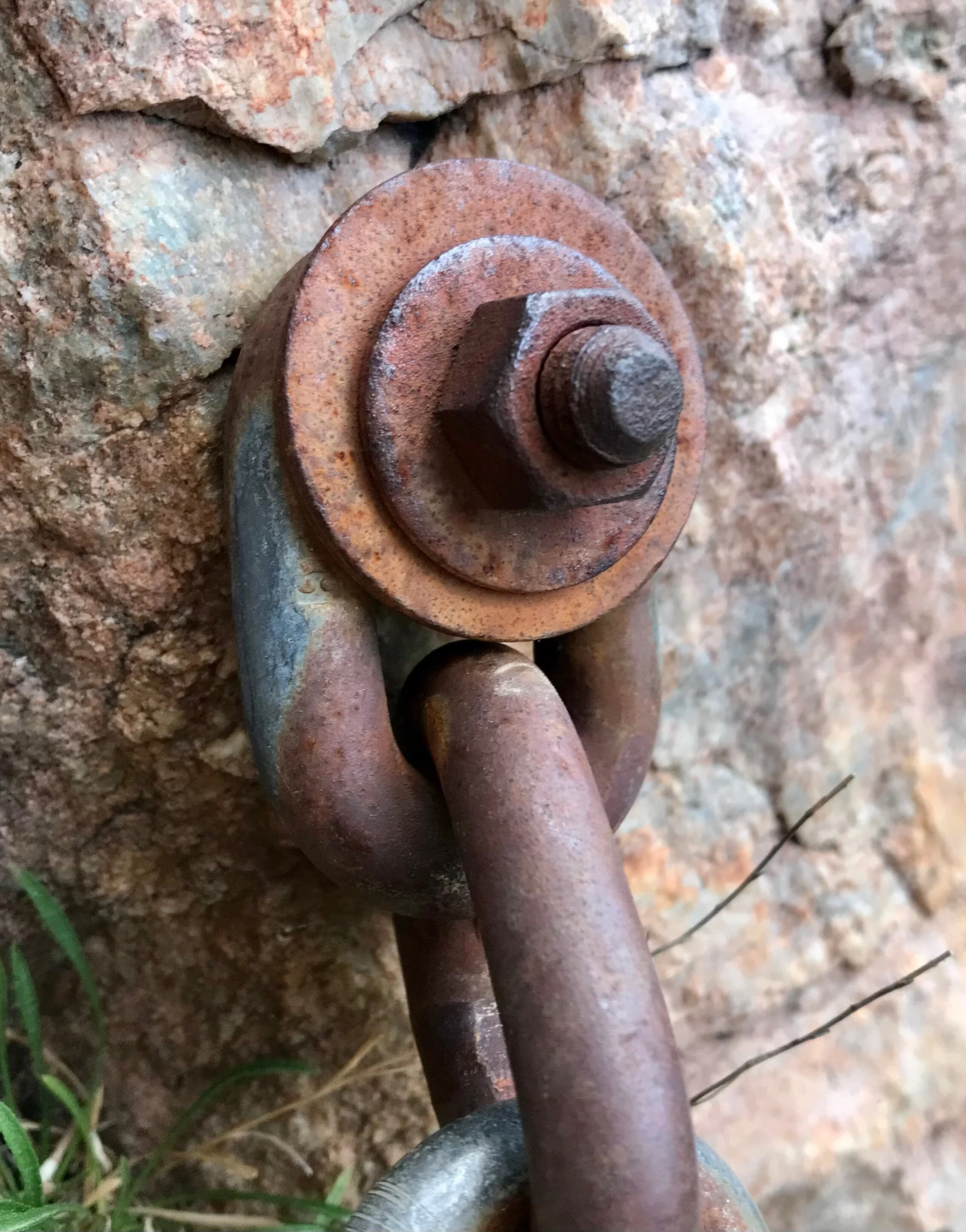 Mid-summer Climbing Anchor Maintenance Report 2021