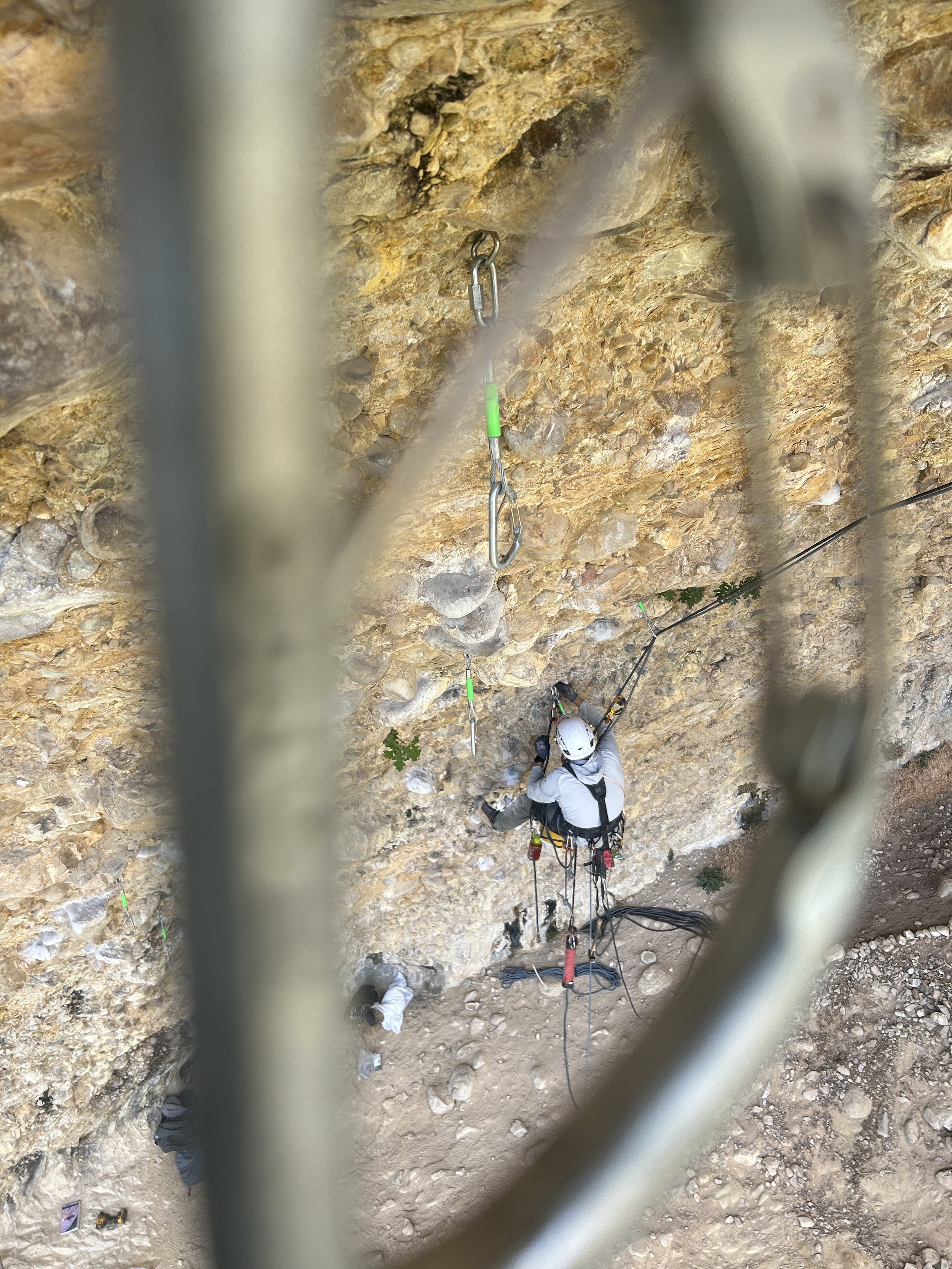 Rebolt the Compound Update: Week 1 of 2