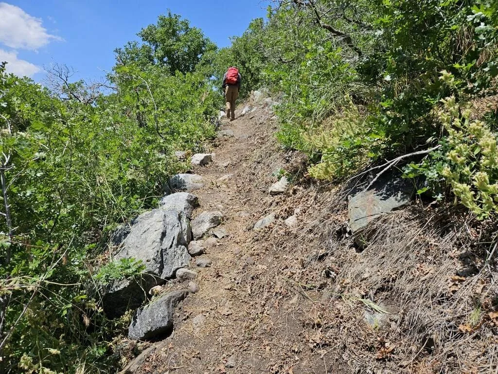 Trail Work: State Trail Crew Visits the Alpenbock Loop and 5-Mile Trail 