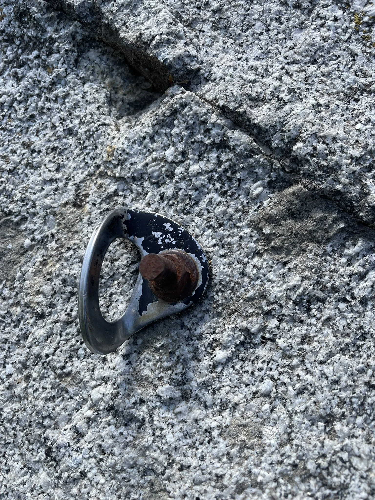 Daddy Long Legs P1 lead bolt2.JPEG