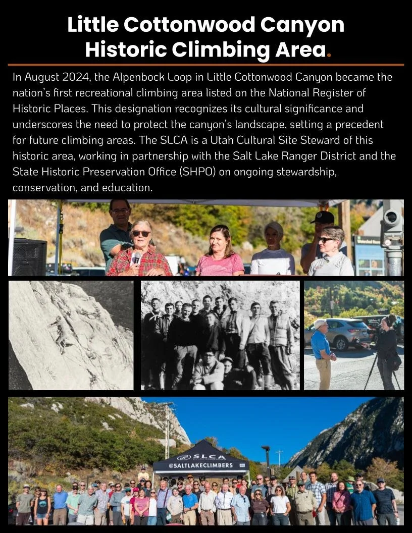 20251201 FINAL End of year stewardship and advo (3).jpg