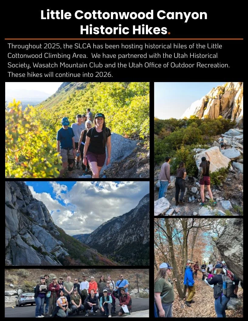 20251201 FINAL End of year stewardship and advo (4).jpg